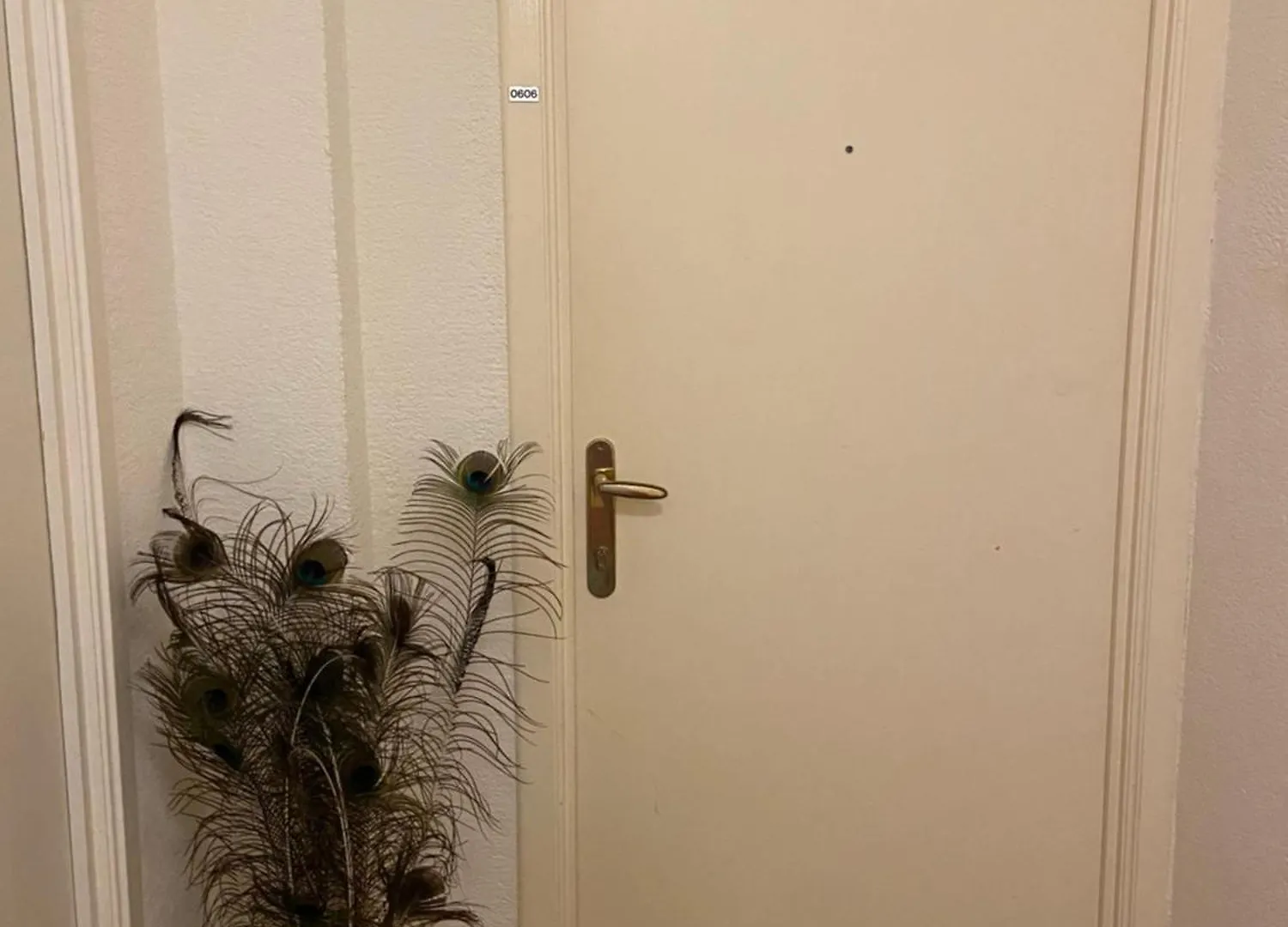 Apartment Charmant & Licht Appartement Met Groot L Terras - Zicht Op Mercator Ostend